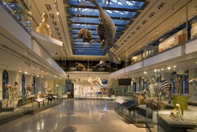 natural-history-museum-of-los-angeles-county_1